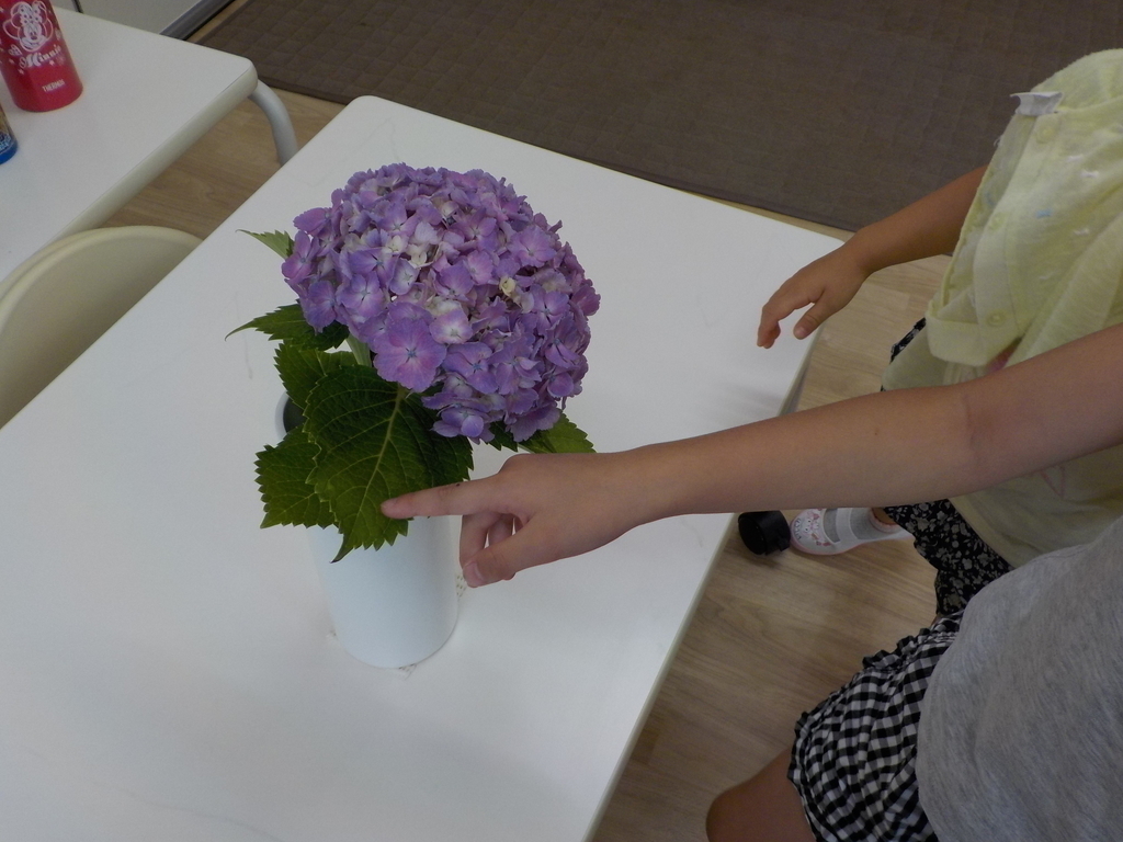 6月の装飾~夏至と紫陽花~