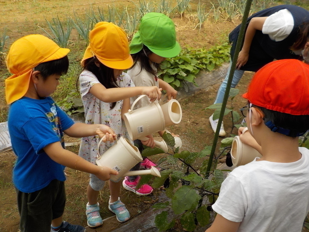 野菜の水やり