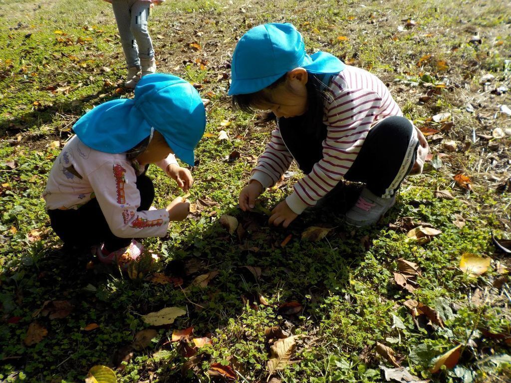 秋のお楽しみお弁当遠足