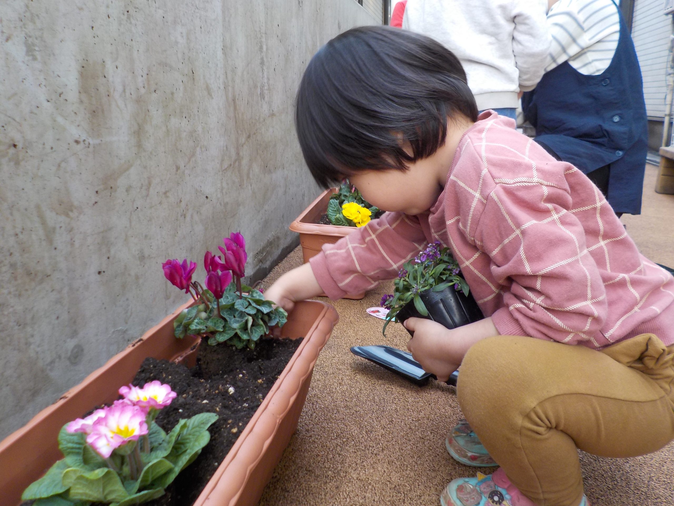 【にじ組】園庭のお花