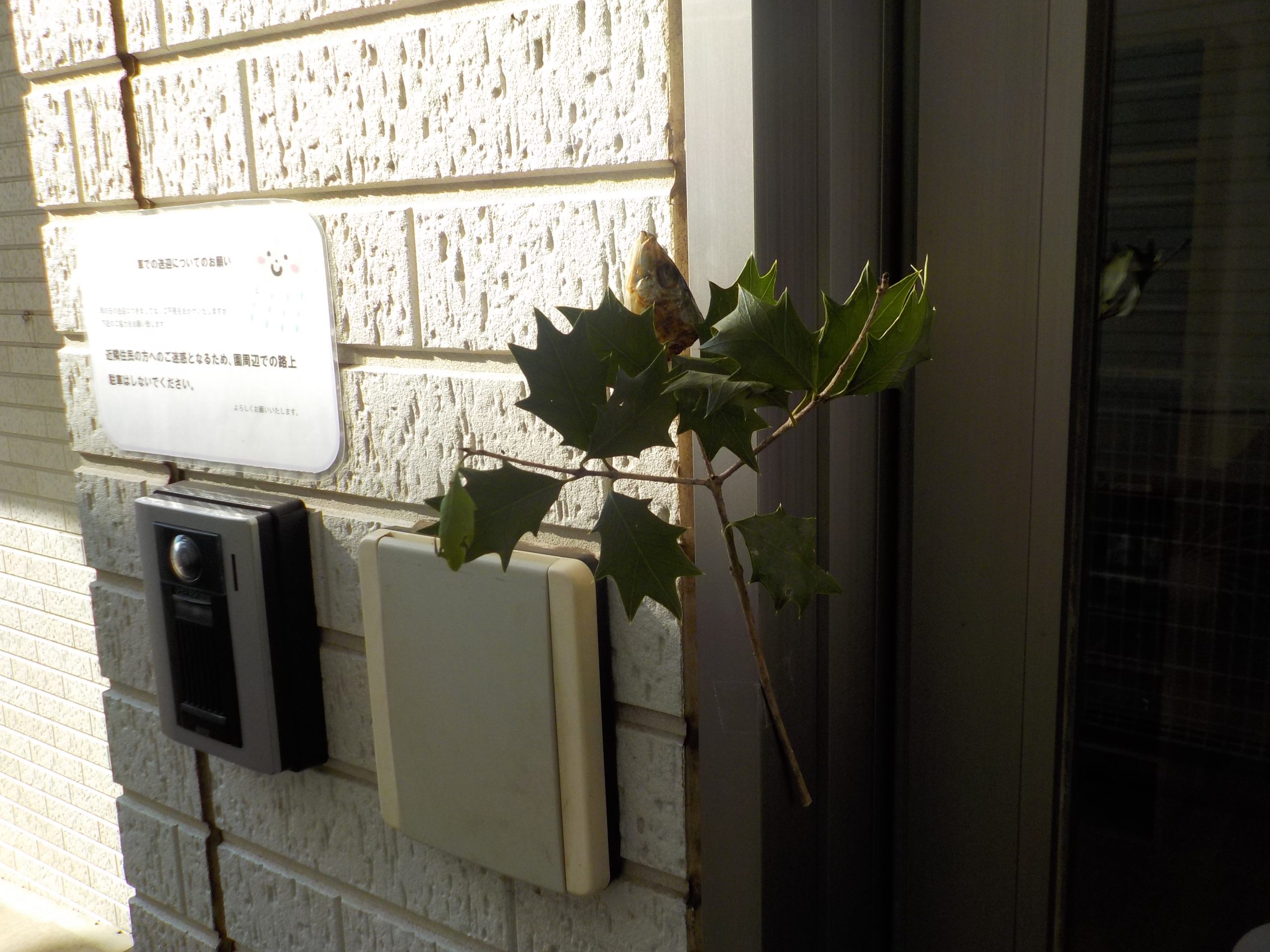 【2月装飾】節分と季節の花