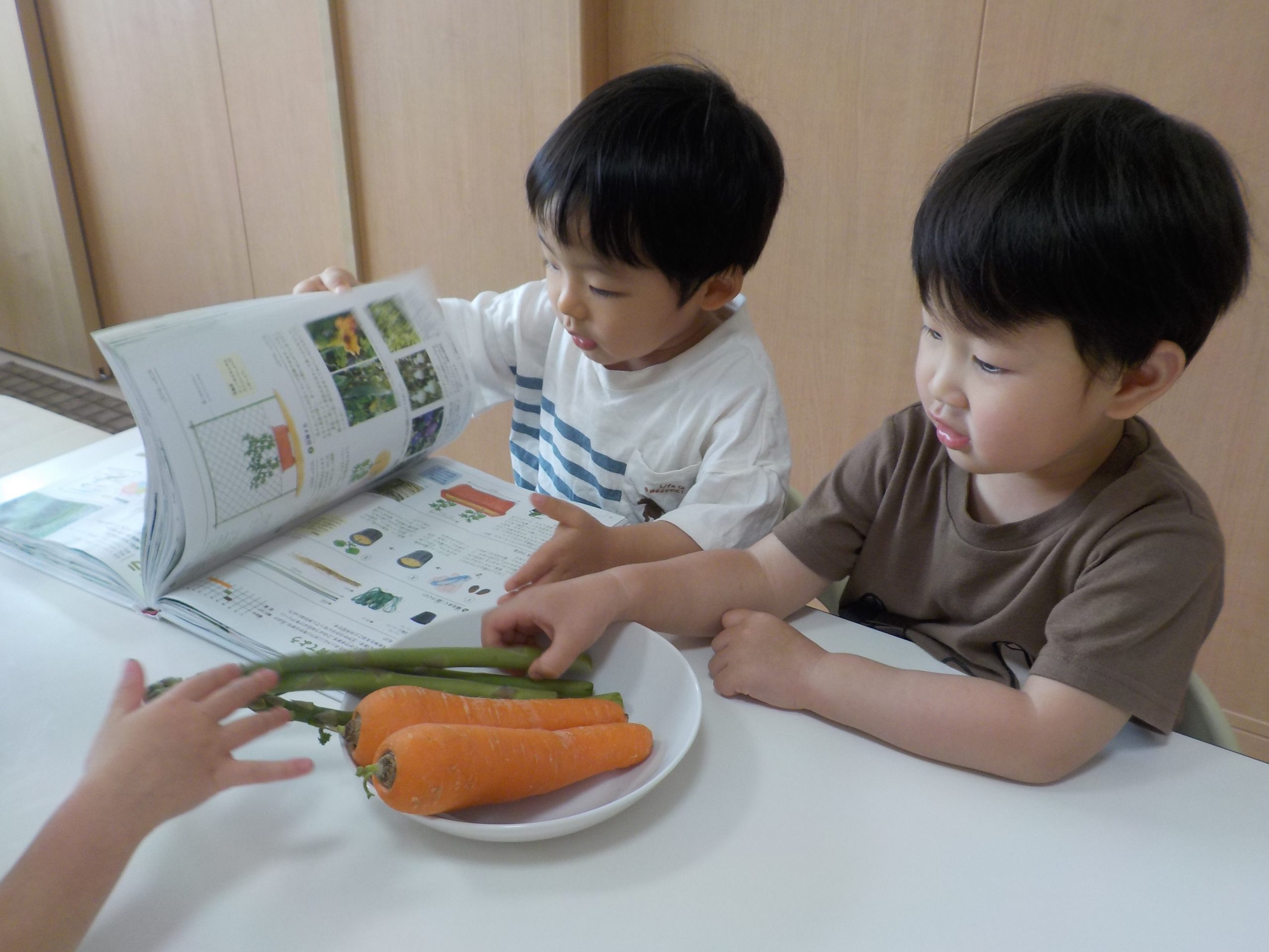 【5月室内装飾】小満