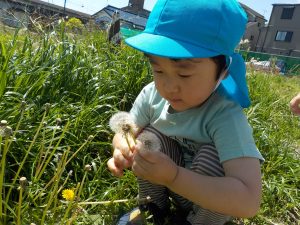 春のぽかぽかお弁当散歩