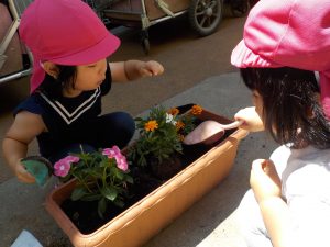 にじ組　花植え