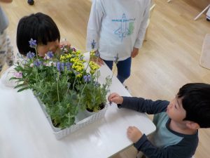 お花を植えよう！！【にじ組】