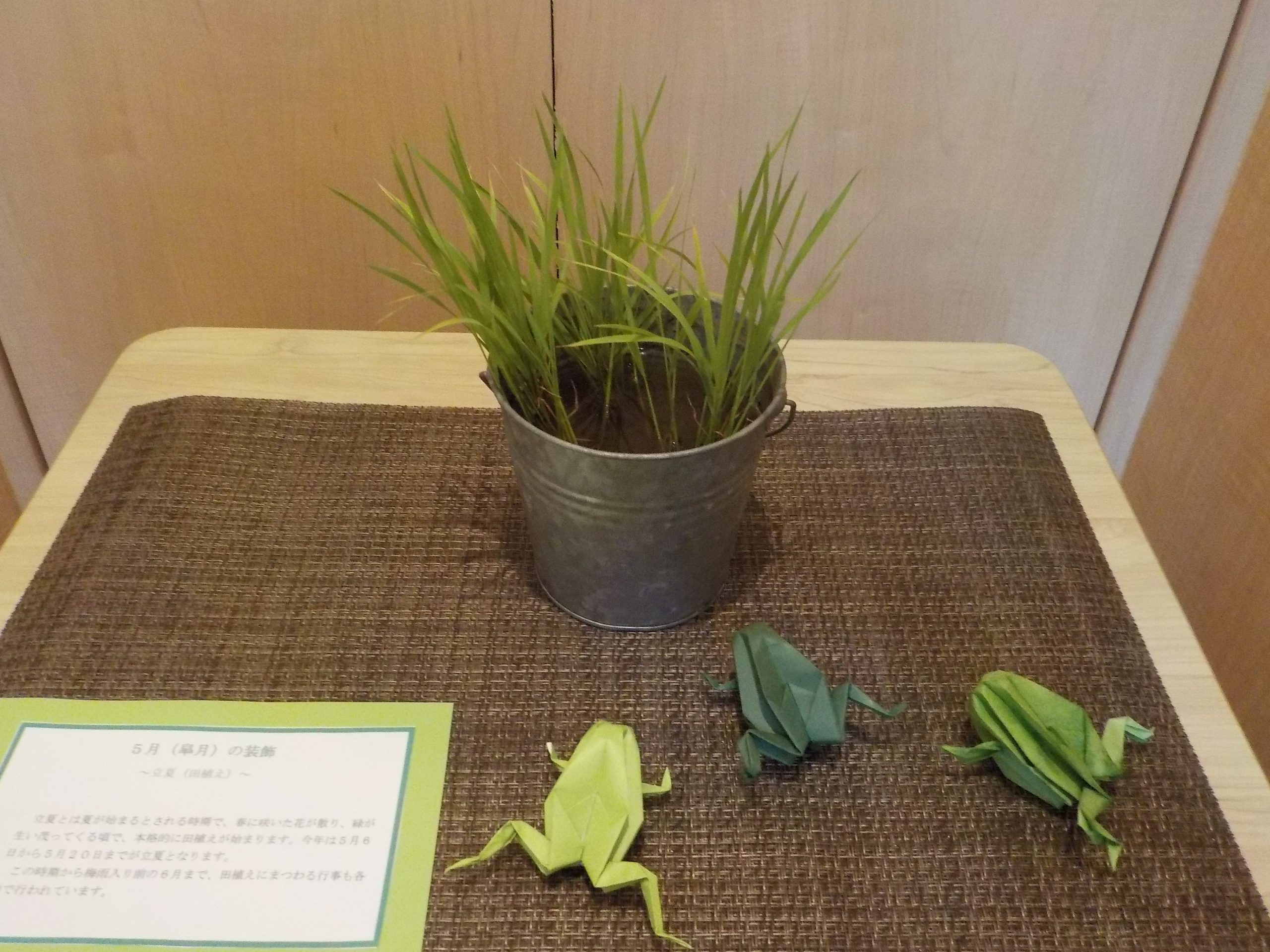 ☆5月 室内装飾☆