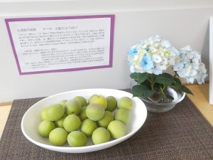 ６月の装飾「紫陽花(あじさい)、青梅」☆水遊びが始まる前に・・☆