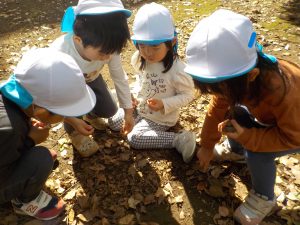 秋のお楽しみお弁当散歩（そら組）