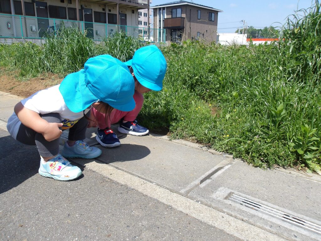 春のぽかぽかお弁当遠足