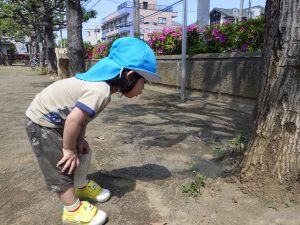 春のぽかぽかお弁当散歩☆オリオン組（２歳児クラス）