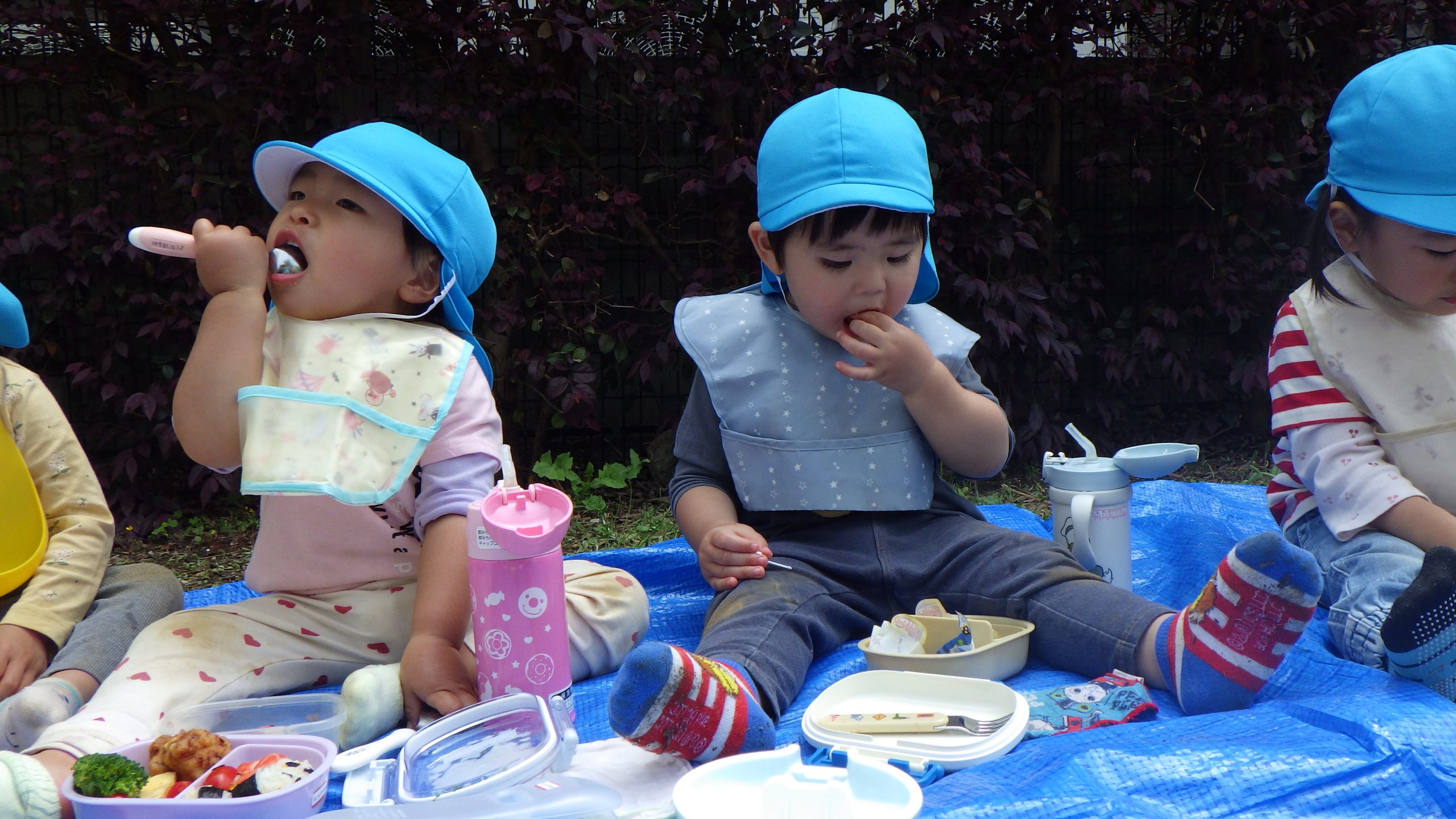 春のぽかぽかお弁当遠足