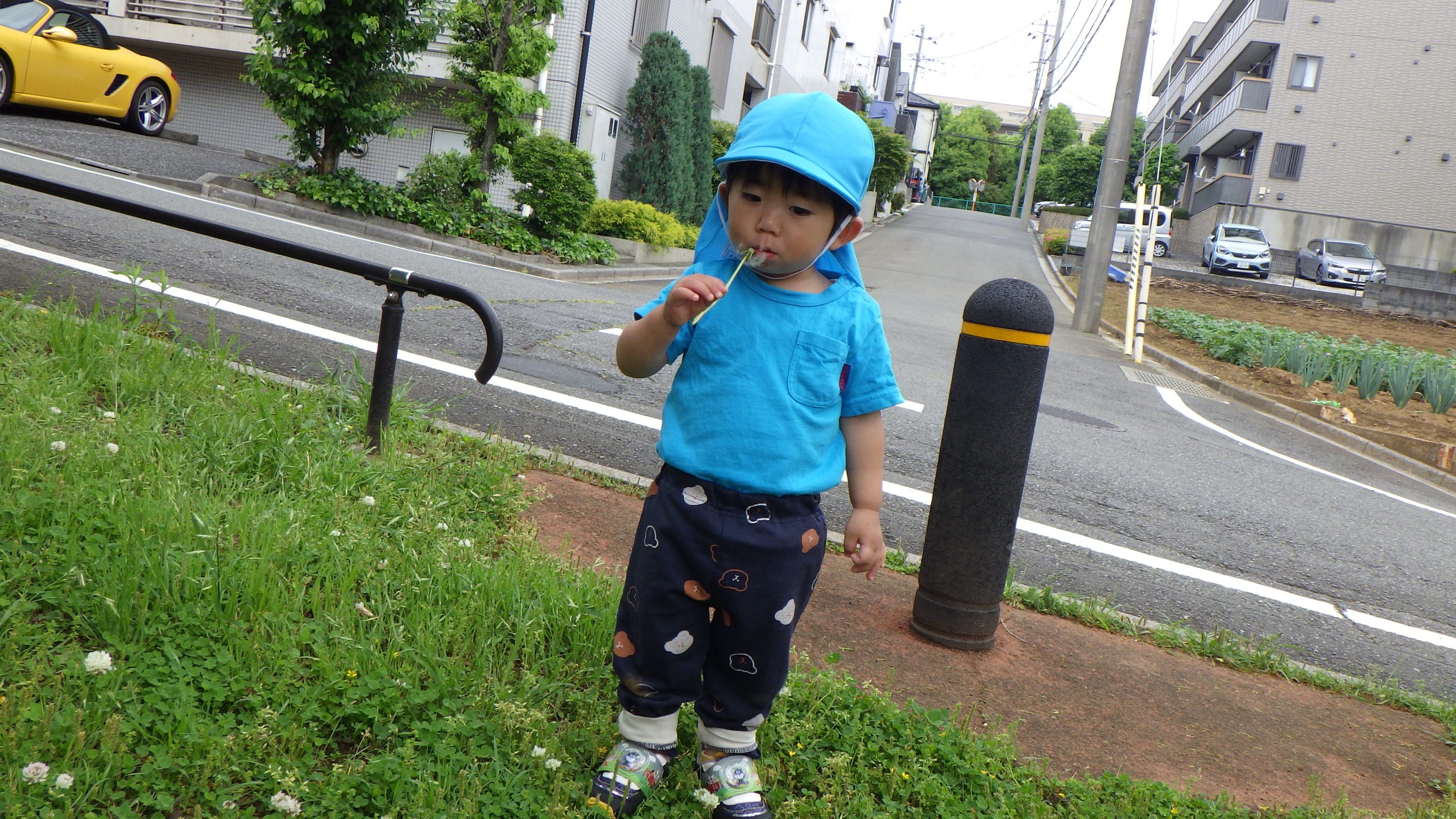 5月の室内装飾・つき組のお散歩