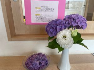 6月の室内装飾