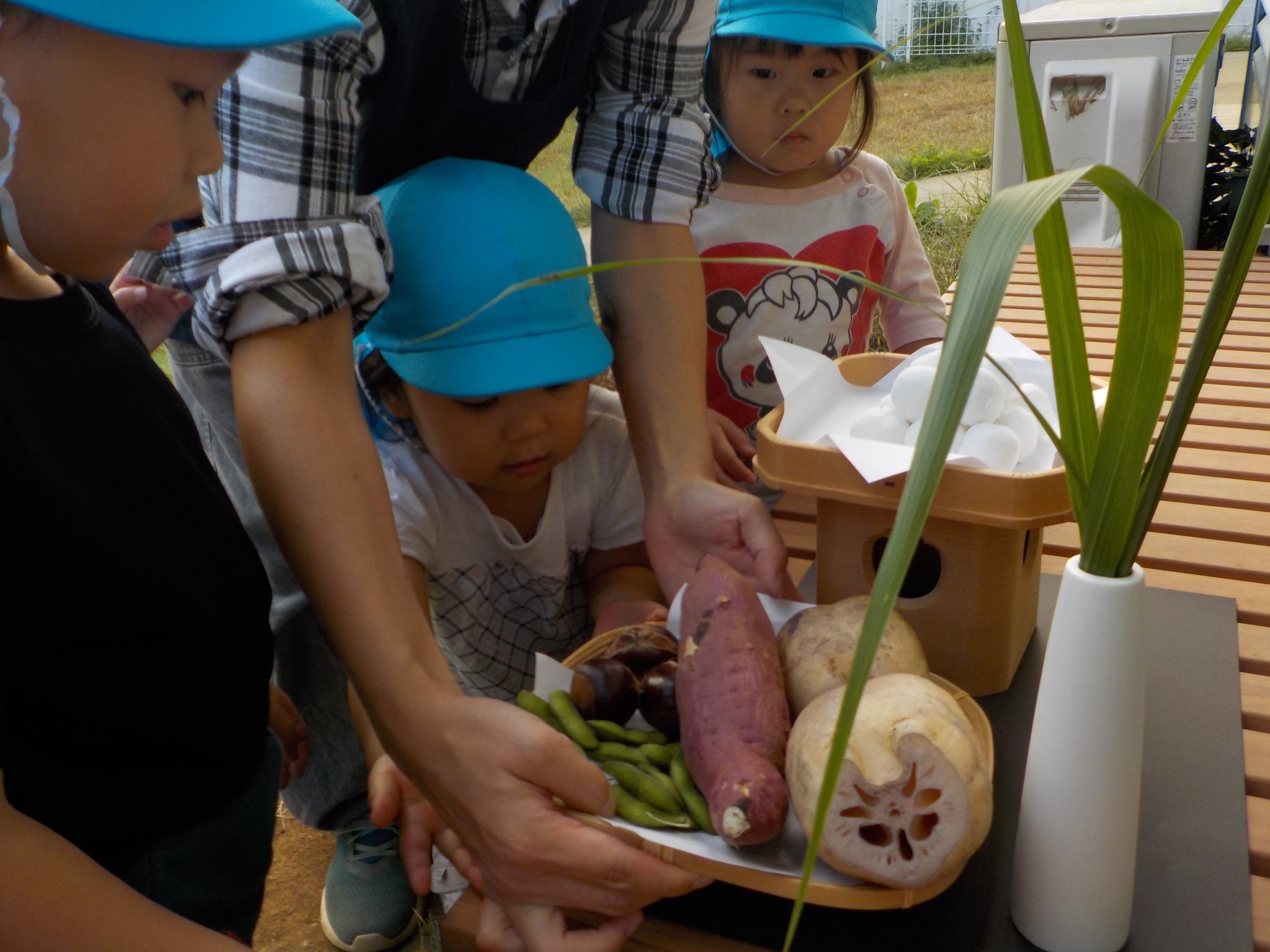 10月室内装飾「十三夜」