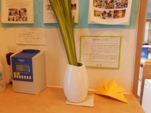 🎏室内装飾🎏