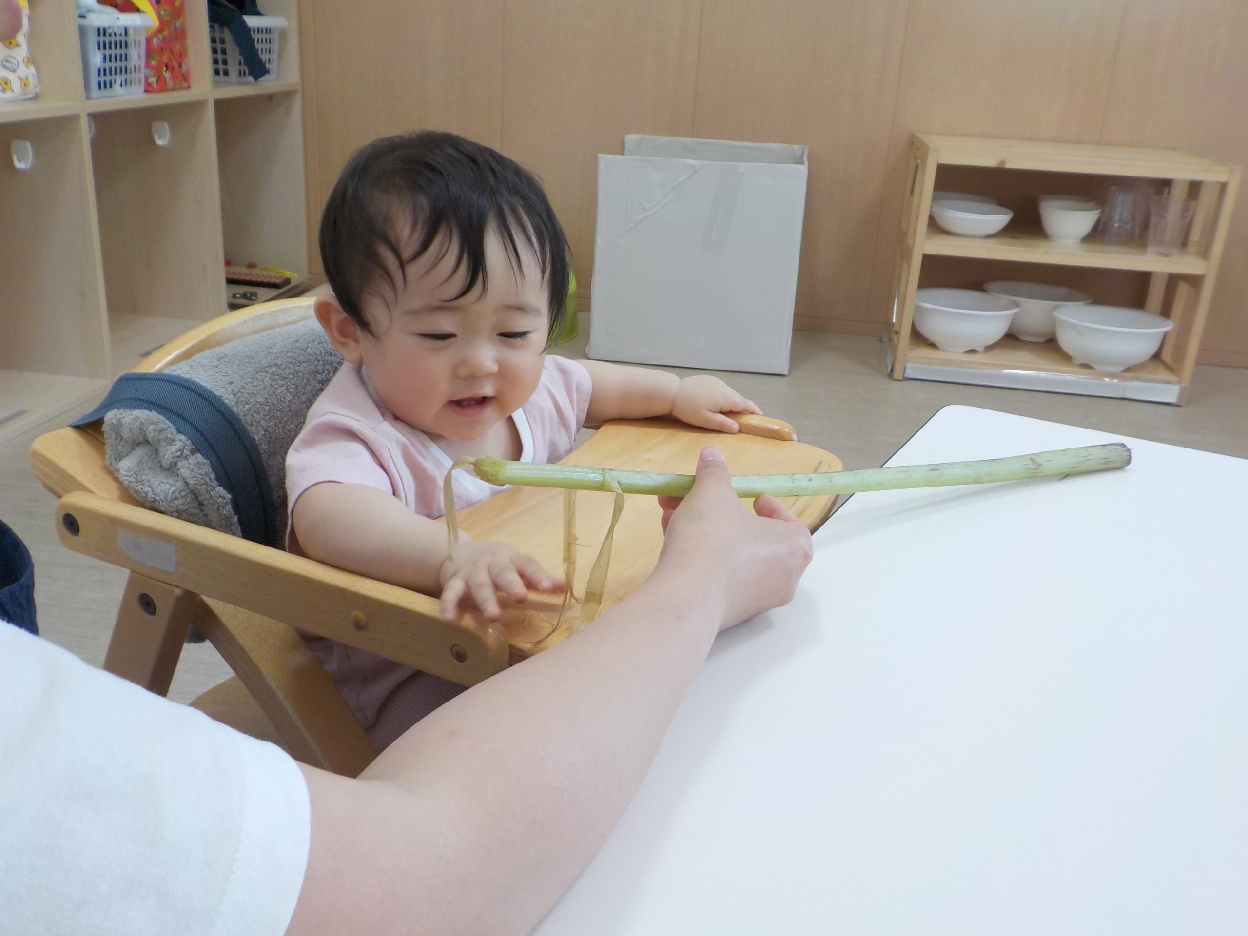 5月室内装飾