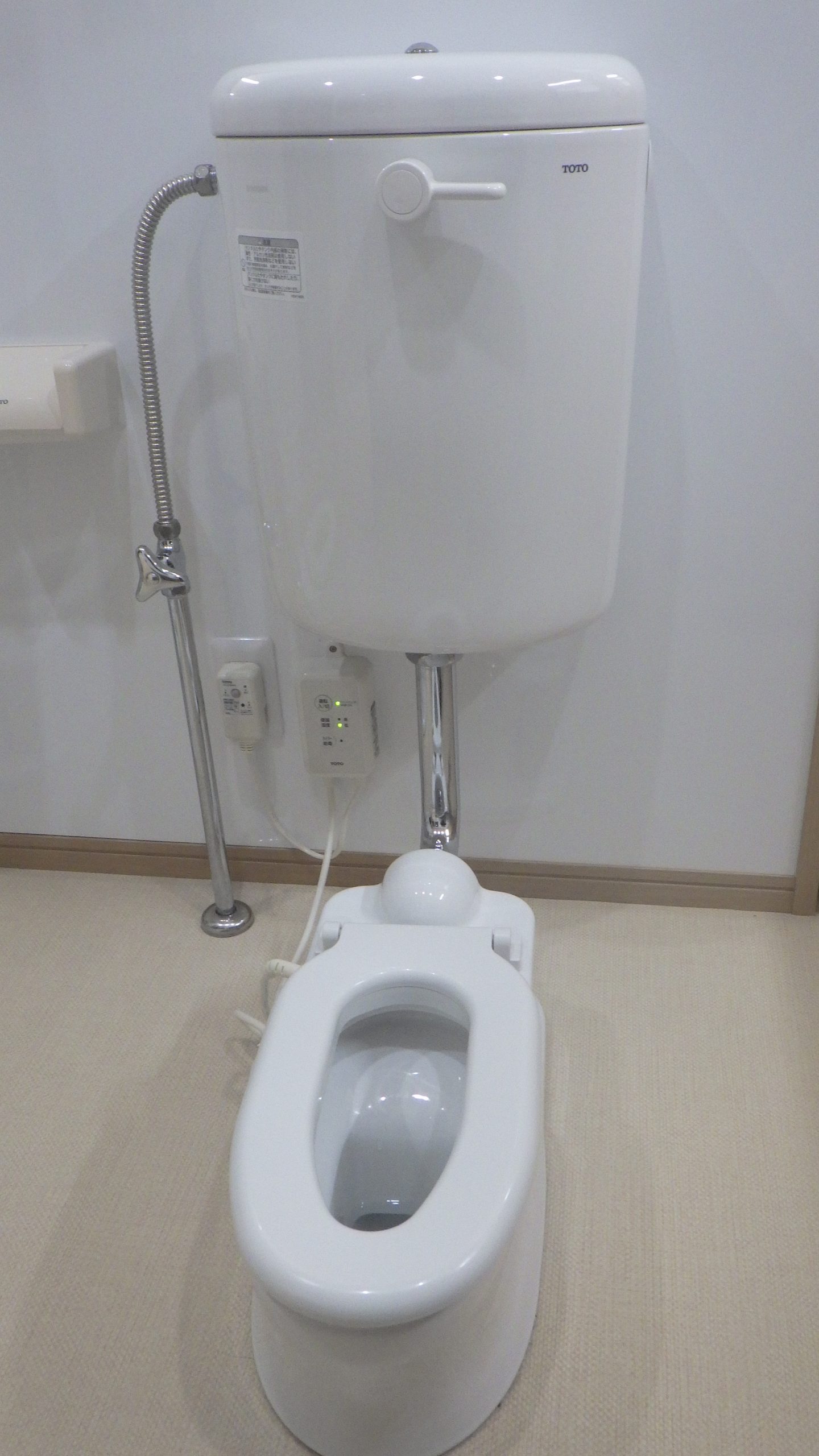排泄の様子