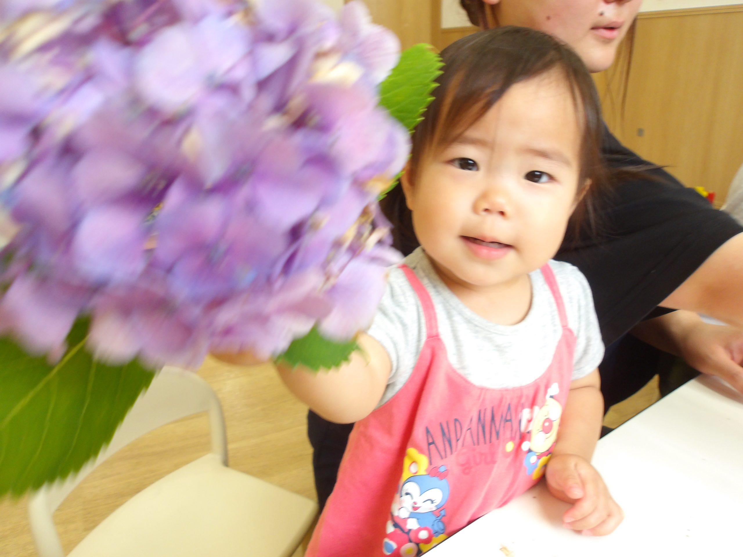 ６月の室内装飾【芒種】