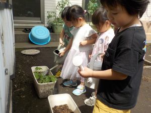 にじ組(3歳児)~お花🌼~
