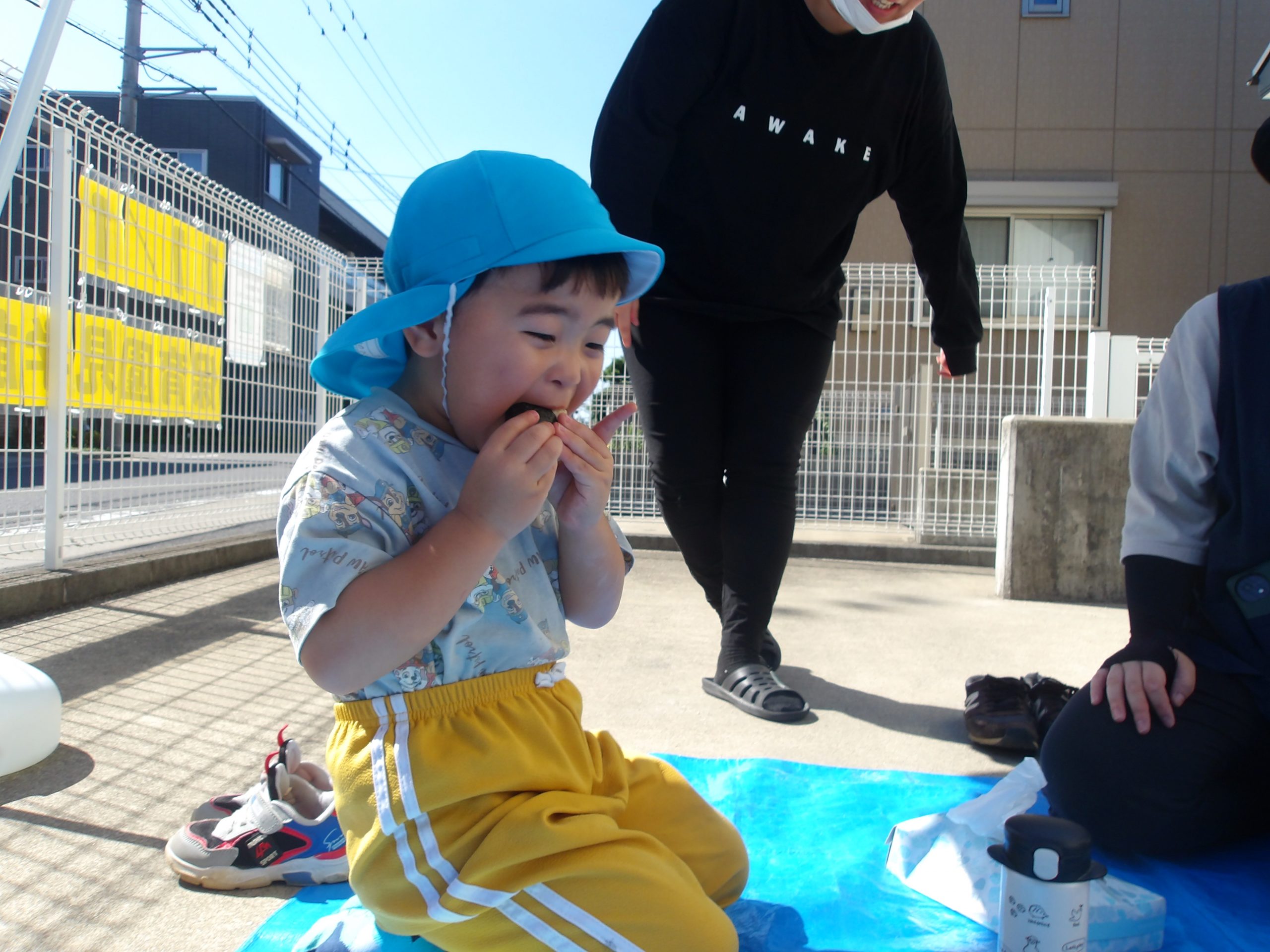 秋のお楽しみお弁当遠足