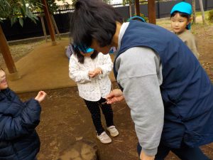 🌳あそびの森🌳(３、４、５歳児)