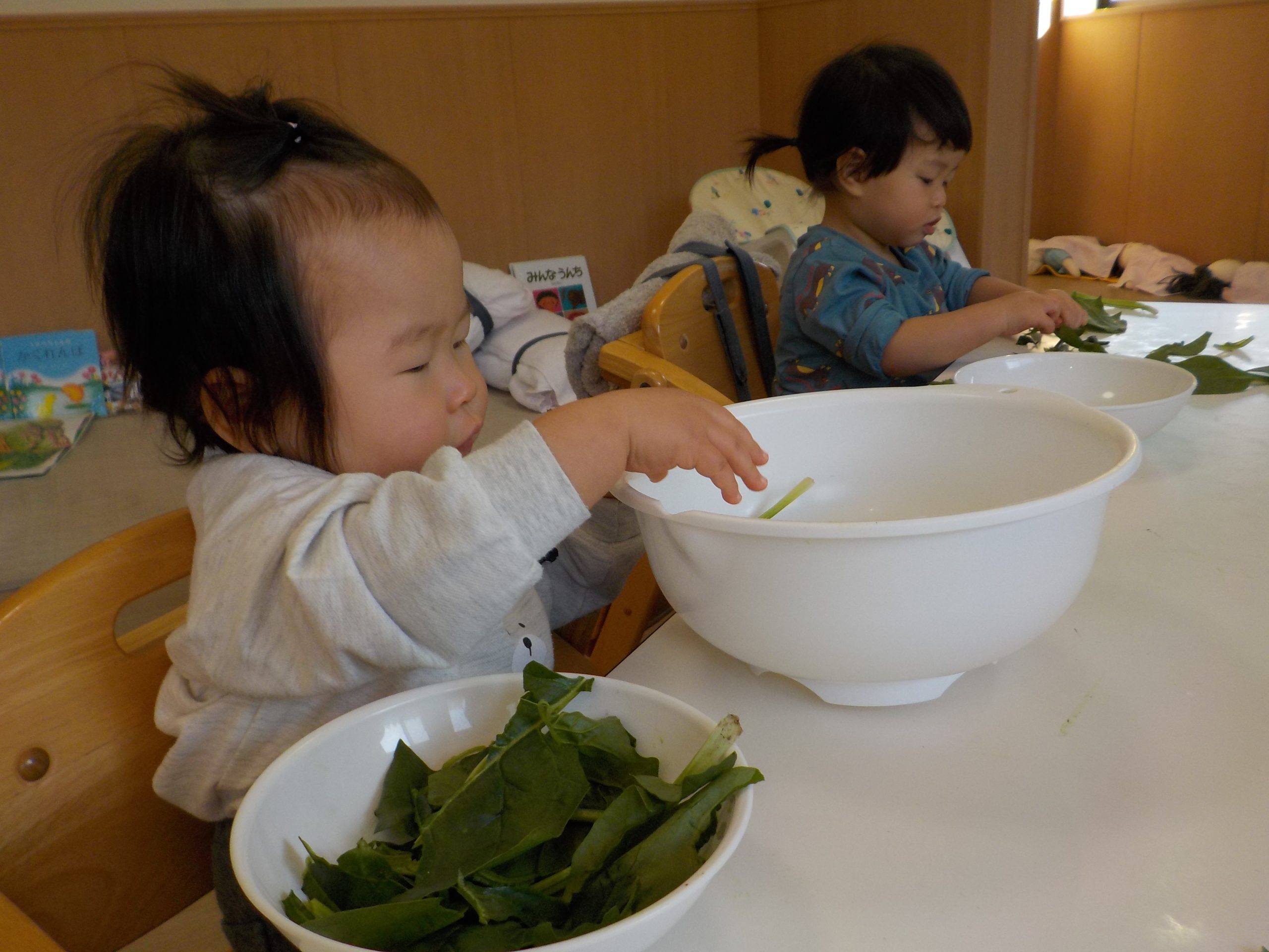 野菜に触れる【ほし組】