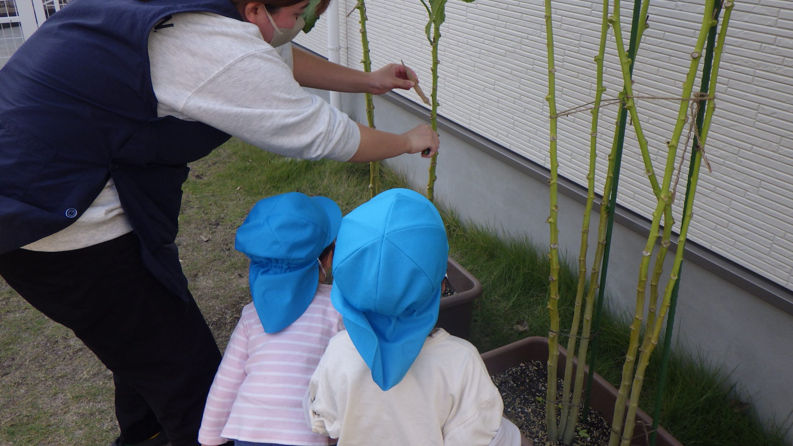 【そら組】生き物に触れる