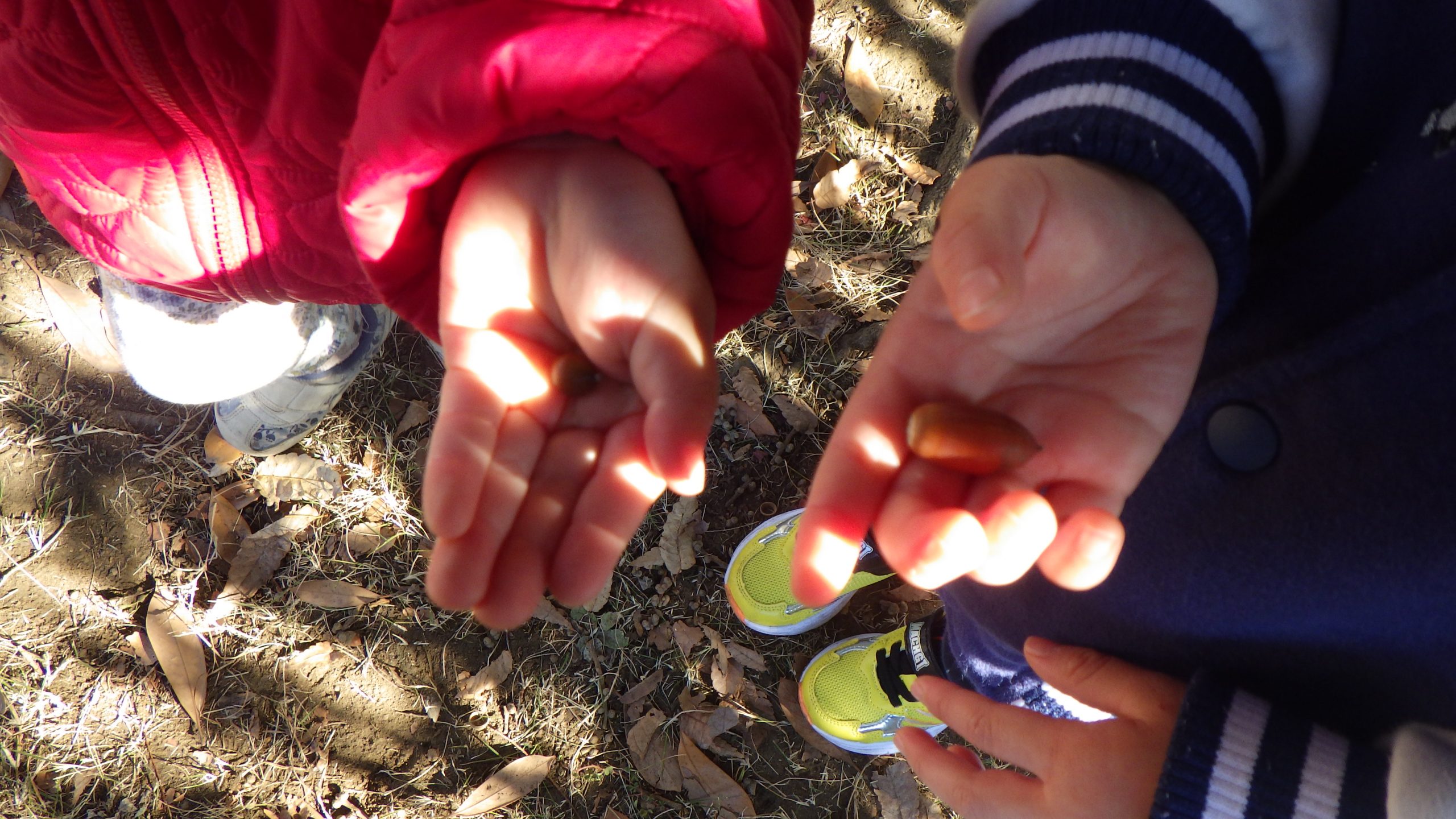 【そら組】秋の発見！