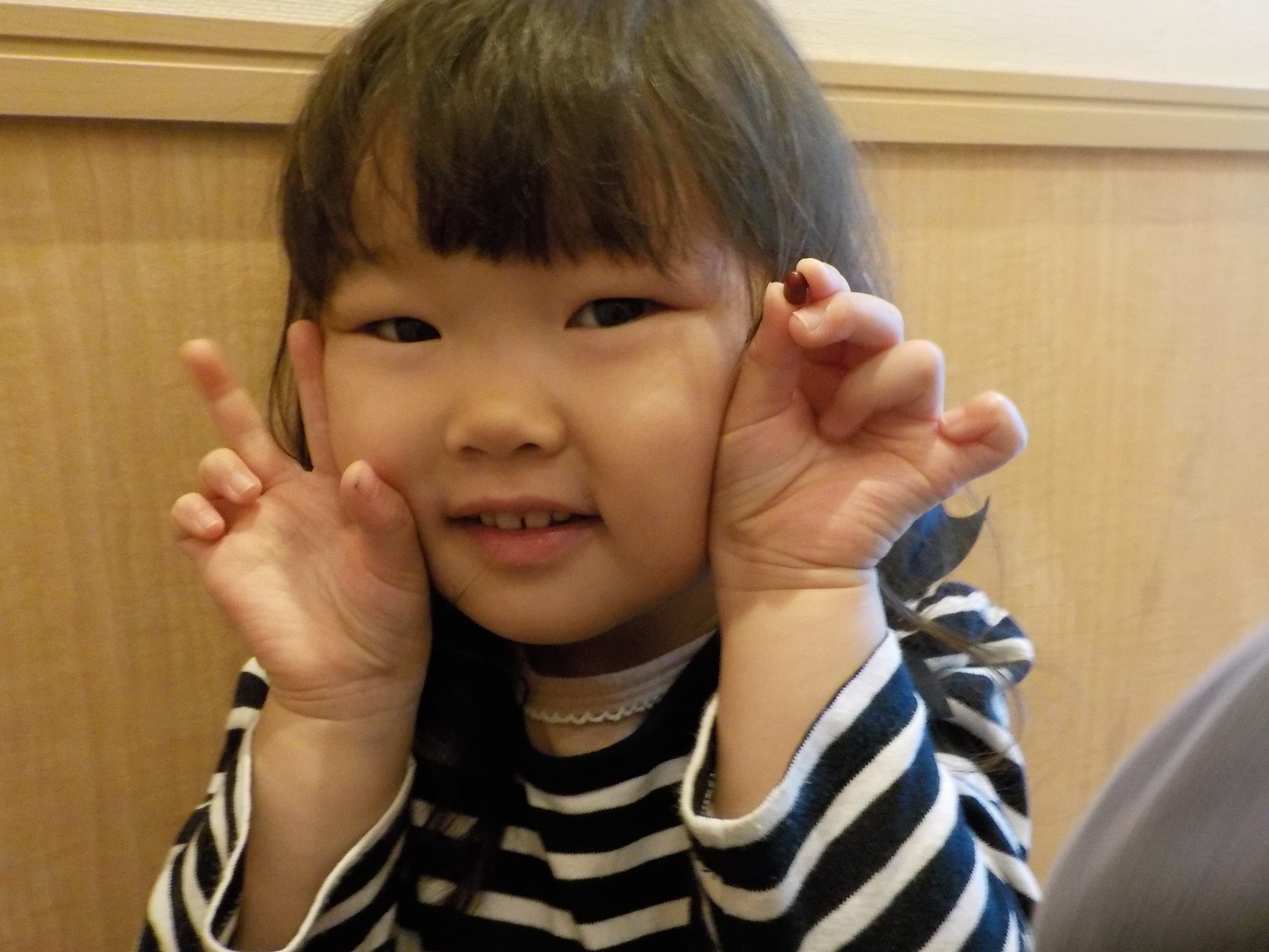 １月室内装飾～小正月と二十日正月～