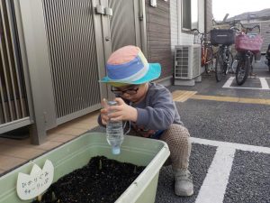 当番活動~お花のお世話🌷～(３・４歳児)