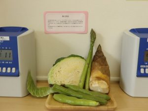 ４月玄関装飾～春野菜～