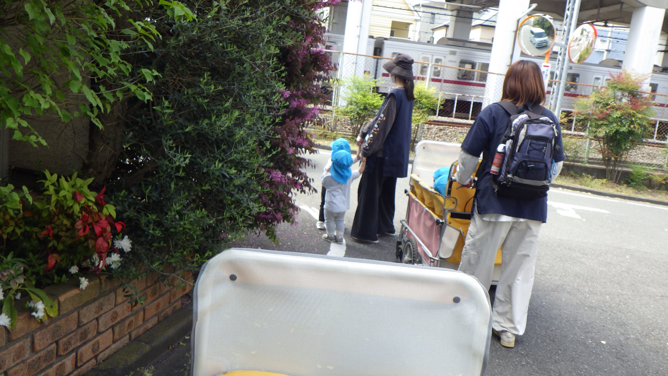 【つき組】お散歩