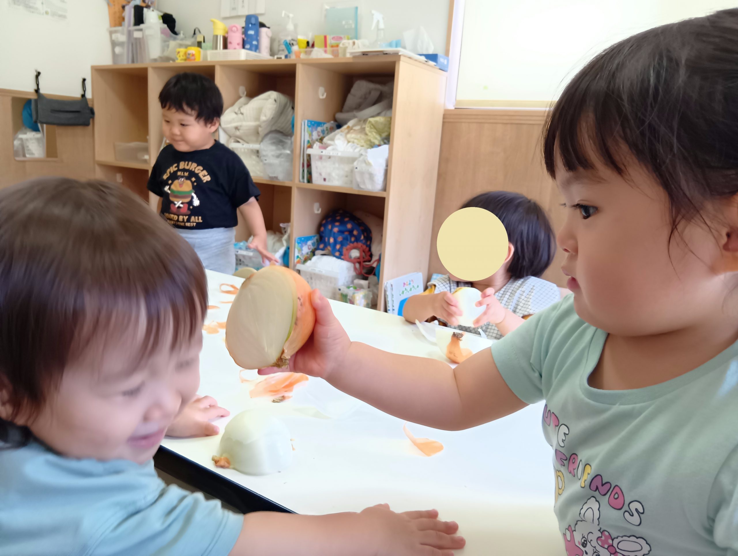 玉ねぎの皮むき つき組