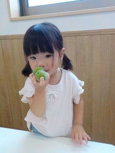 6月装飾『梅・紫陽花』