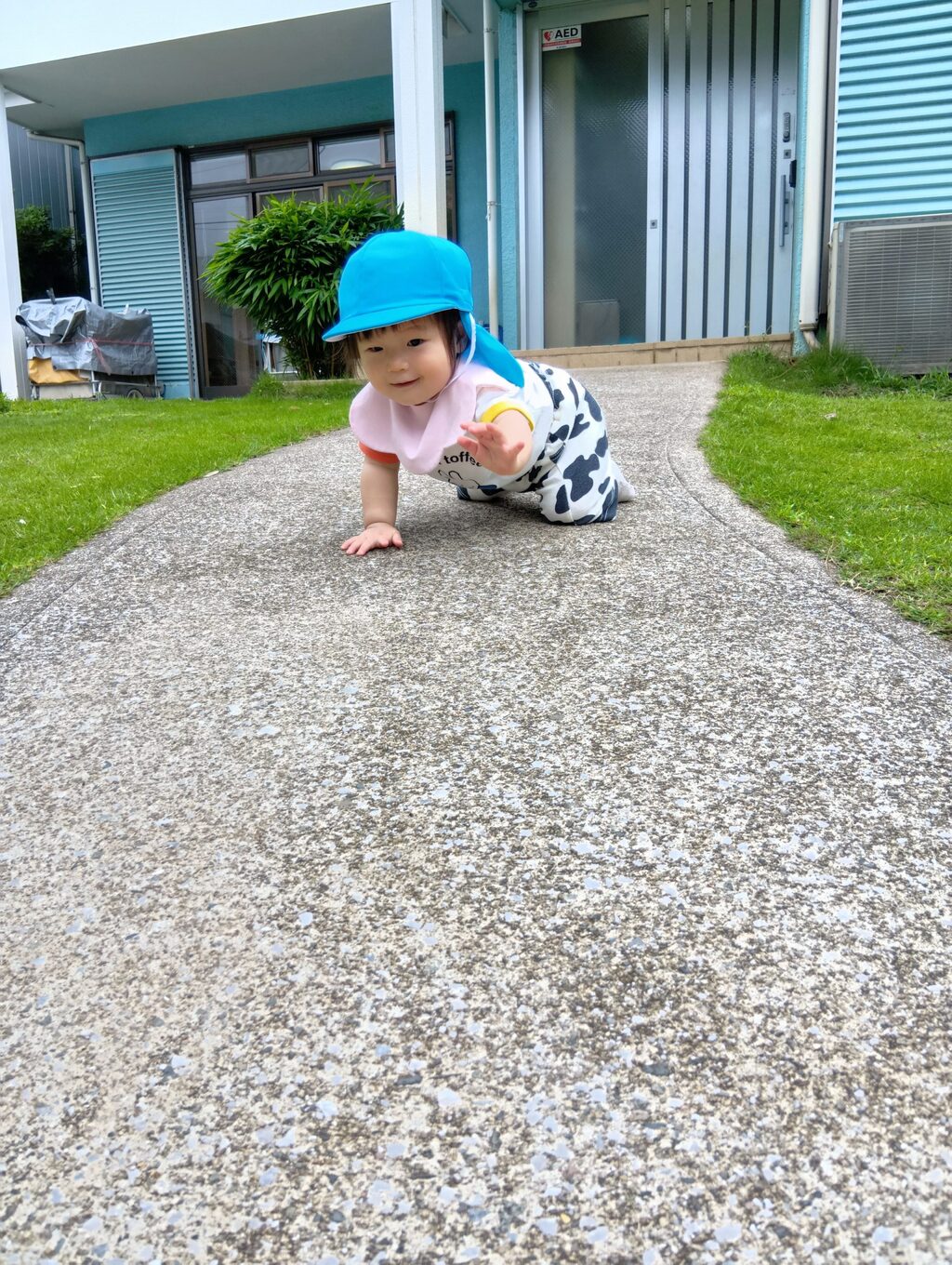 ほし組の様子 園庭